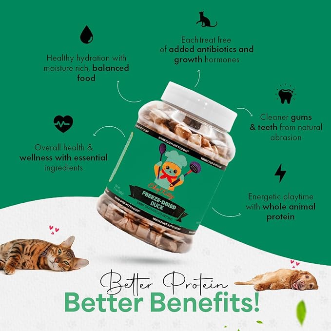 Freeze-Dried Duck Treats for Cats & Dogs – 100% Human Grade, Single Ingredient, High-Protein, Healthy Snack – No Additives or Preservatives – 3.0oz - Inspected & Tested in USA