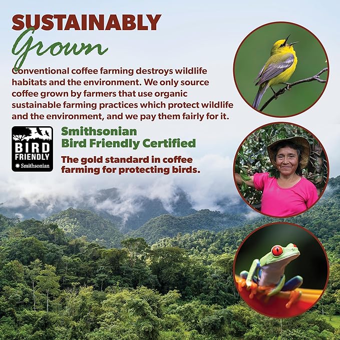 Low Acid Organic Coffee – Whole Bean, Mold-Free & Stomach Friendly by Java Planet, Peruvian Single Origin Coffee, Medium Dark Roast, Smooth Full Flavored, 5LB Bag